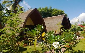 Turtle Gili Meno Bungalows